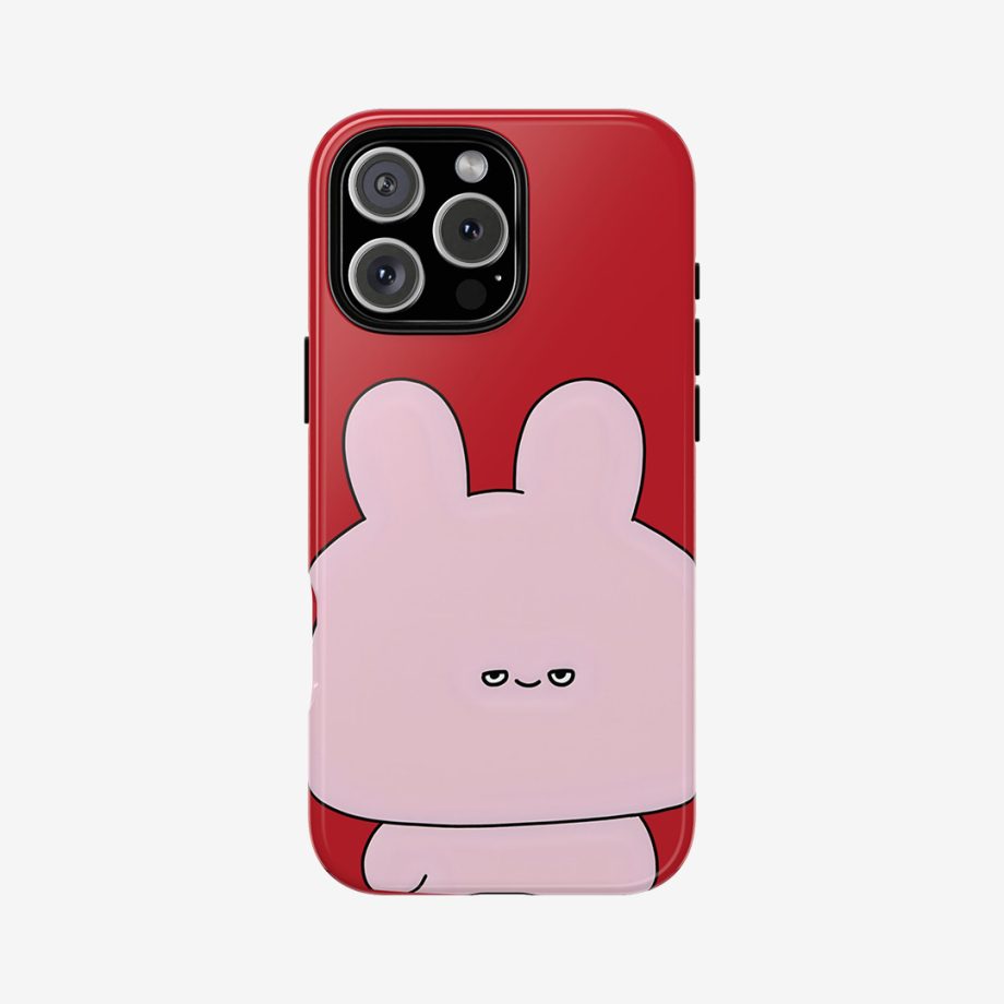 THE PINK CASE