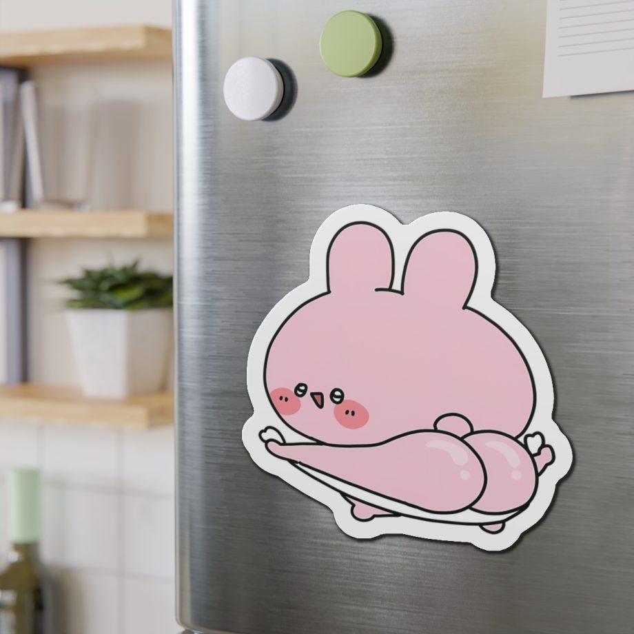 ASAMIMI MAGNETS